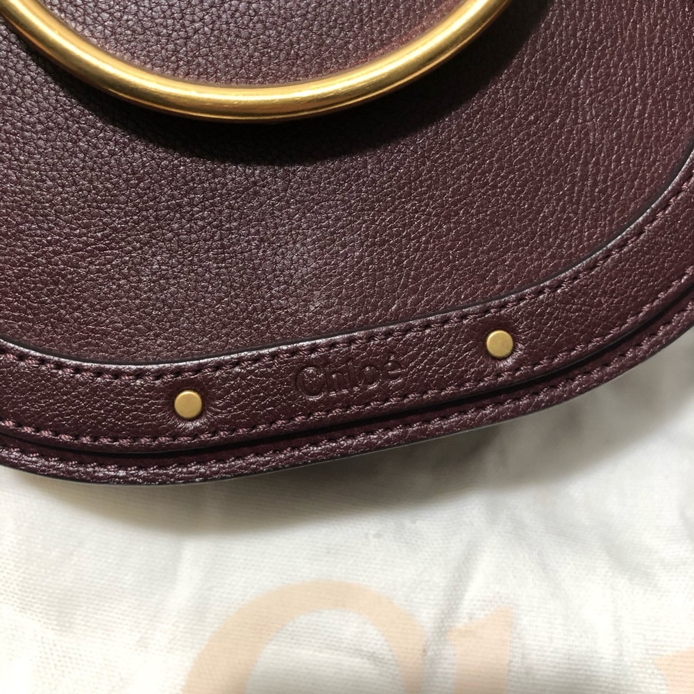 ❌SOLD❌Chloe Small Nile Leather Crossbody Bag - Picture 4 of 8
